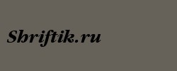 Garamand Bold Italic 